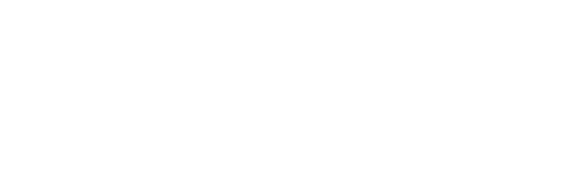 The Canadian Aesthetics Expo Logo